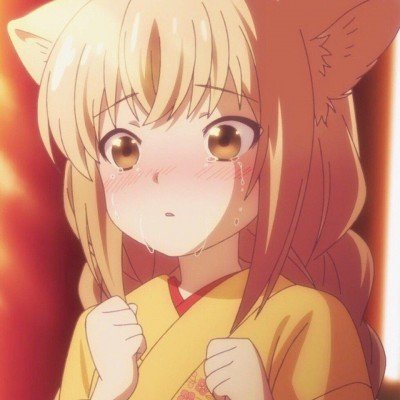 滴露要求5幼猫死亡主人举证